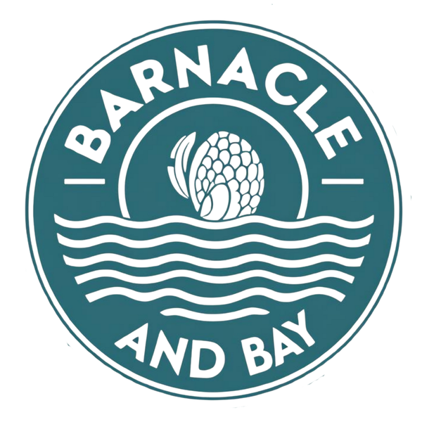 Barnacle and Bay